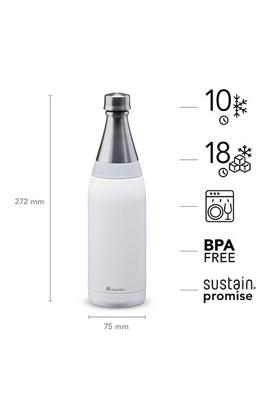 Aladdin Sticlă de apă izolată Aladdin Fresco Thermavac – Sticlă cu perete dublu din oțel inoxidabil – 0,6 L