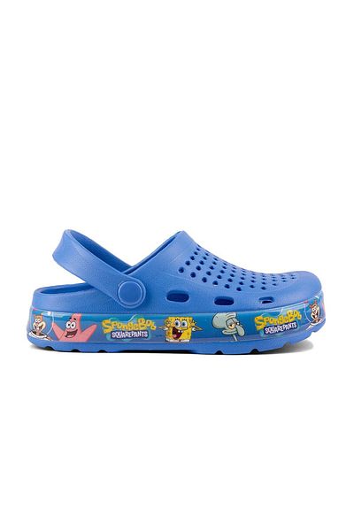 Coqui Saboti Coqui Kiddo K