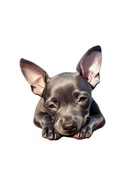 INOVATIX Σετ 8 τεμαχίων, Αυτοκόλλητο American Hairless Terrier Chihuahua, INO...