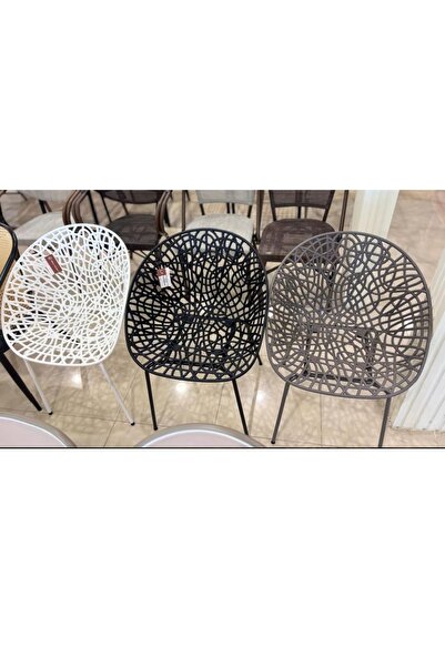 rexa Neiman Modern and Durable Dining Chairs