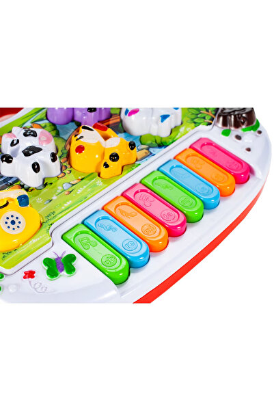 LUDIRO Jucarie Interactiva Bebelusi, Ferma Animalelor, 4 Functii, Cu Lumini si Sunete, Pian