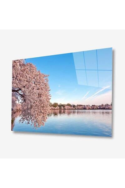 idealizbiz Pictură din sticlă Nature 4 mm Sticlă temperată durabilă