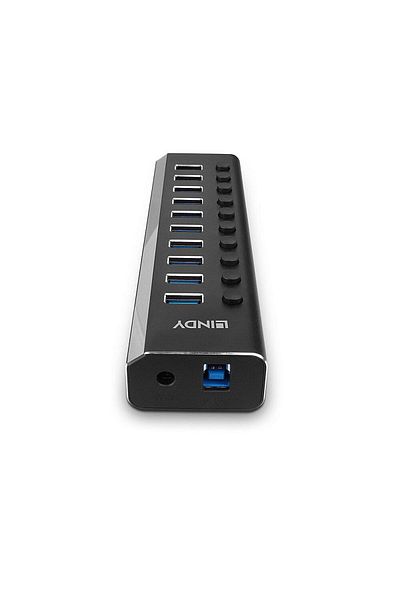 LİNDY 10-port USB hub with On/Off button,