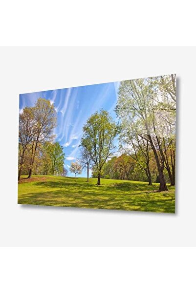 idealizbiz Pictură din sticlă Nature 4 mm Sticlă temperată durabilă