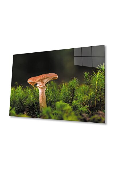 idealizbiz Tablou din sticlă ciuperci