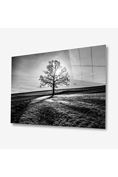 idealizbiz Pictură din sticlă Nature 4 mm Sticlă temperată durabilă