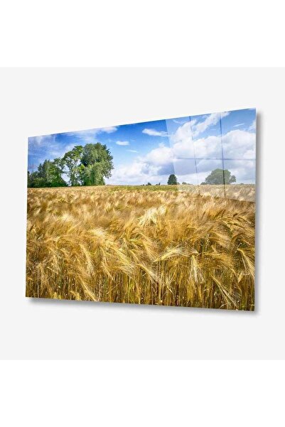 idealizbiz Pictură din sticlă Nature 4 mm Sticlă temperată durabilă