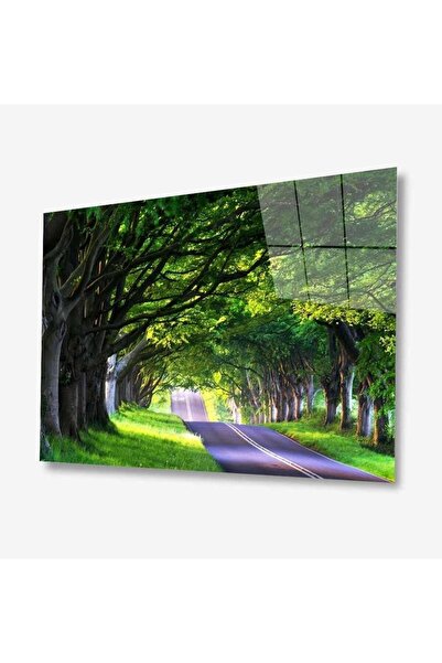 idealizbiz Pictură din sticlă Nature 4 mm Sticlă temperată durabilă