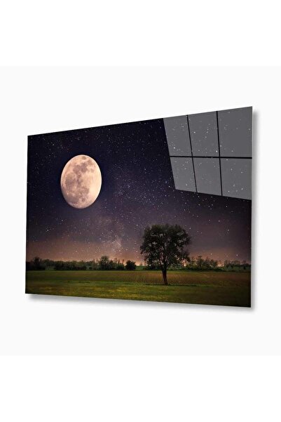 idealizbiz Pictură din sticlă Nature 4 mm Sticlă temperată durabilă