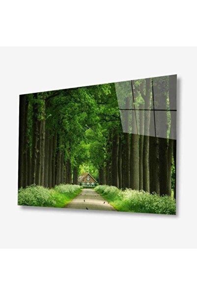 idealizbiz Pictură din sticlă Nature 4 mm Sticlă temperată durabilă