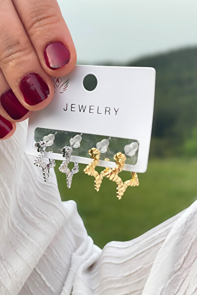 TAKIPORT 4 قطع أقراط قلب للنساء