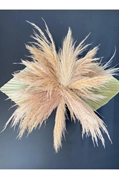 YAPAY Duvar süsü pampas.palmiyeli