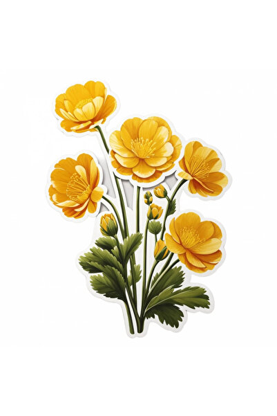 INOVATIX Set de 8 autocolante cu buchet de flori de piciorul-cocoșului, INOVA...