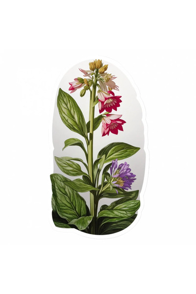 INOVATIX Set de 8 bucăți, autocolant plantă medicinală Tataneasa, INOVATIX®. ...