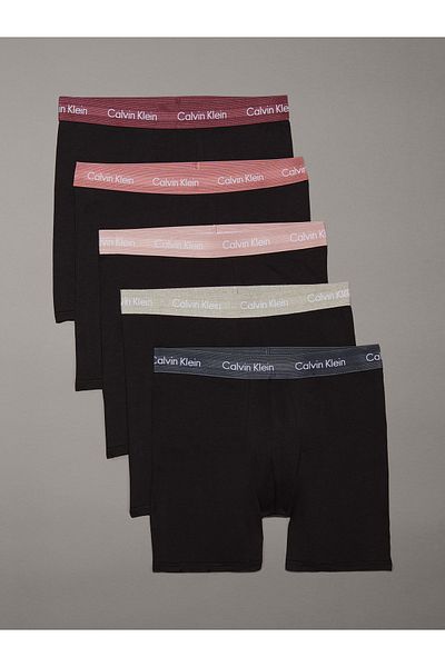 Calvin Klein Men Multicolored Boxer Brief Pack of 5