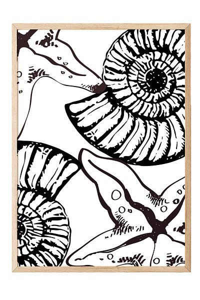 Postifull Wooden Framed Painting, Ammonite, Starfish, Illustration, Black, White Color Poster, 2025 Summer Selection