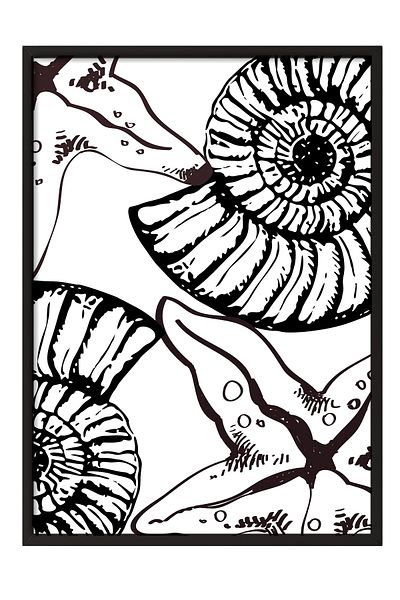Postifull Black Framed Painting, Ammonite, Starfish, Illustration, Black, White Color Poster, 2025 Summer Selection