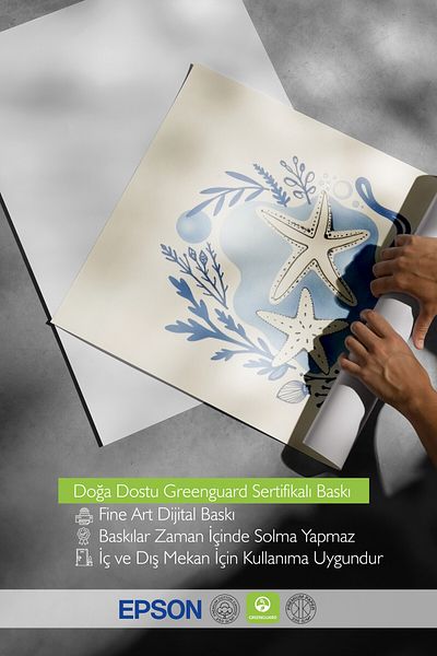 Postifull Poster cu cadru alb, scoici de mare, ilustrație, poster de culoare albastră, selecție de vară 2025, NR:109552