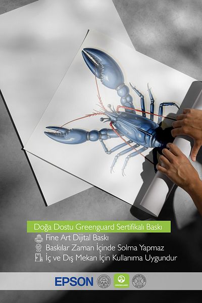 Postifull Black Framed Poster, Crab, Illustration, Blue Color Poster, Summer Selection 2025, No:109575