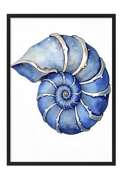 Postifull Black Framed Poster, Seashell, Illustration, Blue Color Poster, 2025 Summer Selection, No:109576
