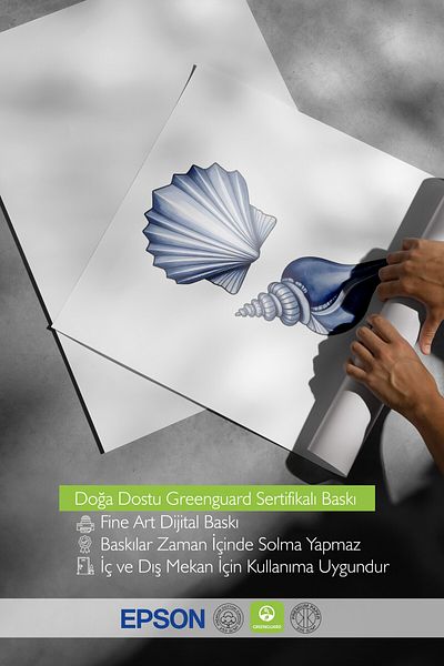 Postifull Poster cu cadru alb, scoici, ilustrație, poster de culoare albastră, selecție de vară 2025, NR:109546