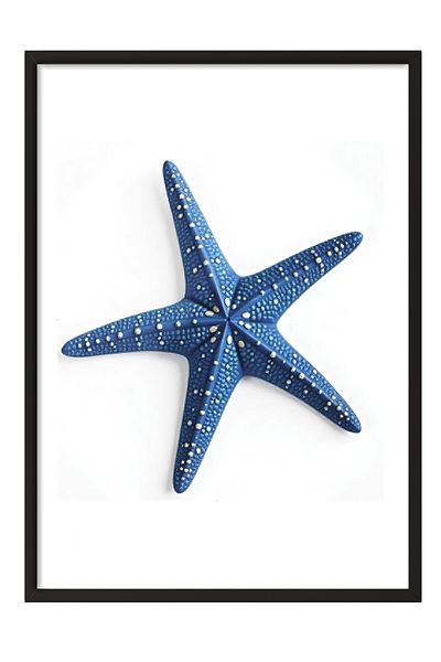 Postifull Black Framed Painting, Starfish, Illustration, Blue Color Poster, 2025 Summer Selection, No:109730
