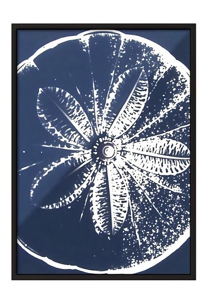 Postifull Black Framed Painting, Orange Print, Illustration, Blue Color Poster, 2025 Summer Selection, No:109740