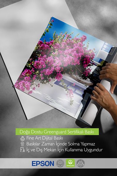 Postifull Wooden Framed Poster, Pink Flowers and House, Photo, Blue Color Poster, Summer Selection of 2025, No:10953