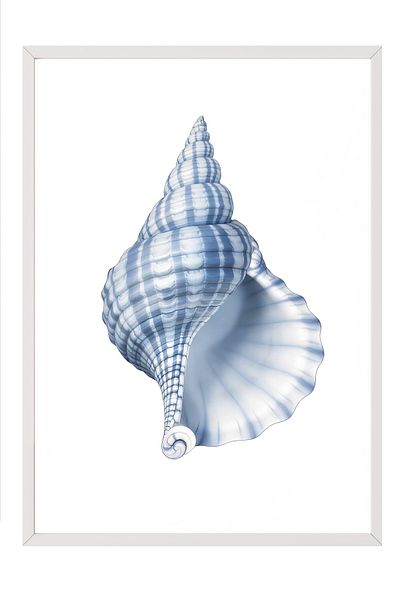 Postifull White Framed Painting, Blue Seashell, Illustration, Blue Color Poster, 2025 Summer Selection, No:10974