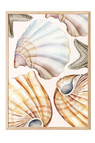 Postifull Wooden Framed Painting, Seashells, Starfish, Watercolor, Beige, Pastel Tones Color Poster, 20