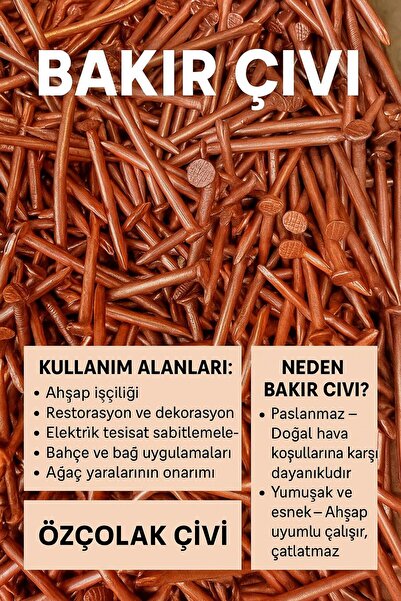 ÖZÇOLAK SAF BAKIR AĞAÇ ÇİVİSİ 3MM X 3 CM ( 100 ADET )