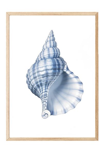Postifull Wooden Framed Painting, Blue Seashell, Illustration, Blue Color Poster, 2025 Summer Selection, No:10974