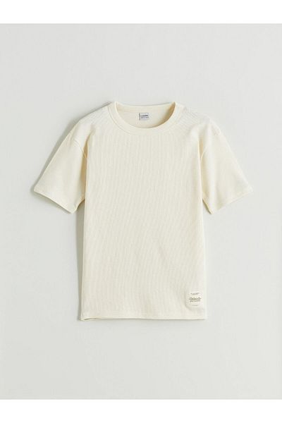 LC Waikiki Brown Crew Neck Boys T-Shirt and Shorts