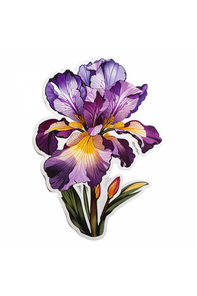 INOVATIX Set de 8 bucăți, autocolant cu flori de iris, INOVATIX®. 6 cm