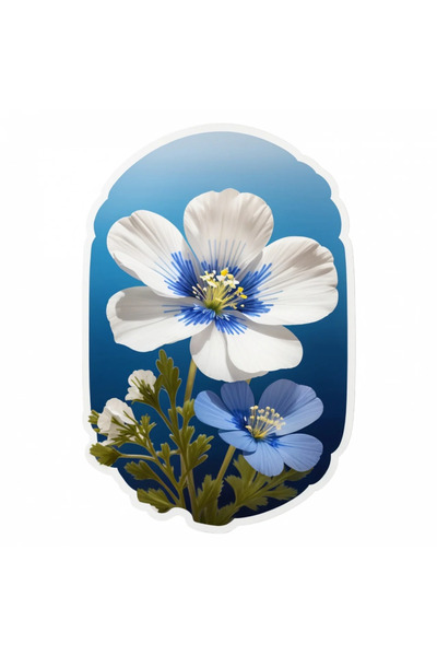 INOVATIX Set de 8 bucăți, autocolant floare Nemophila, INOVATIX®. 6 cm