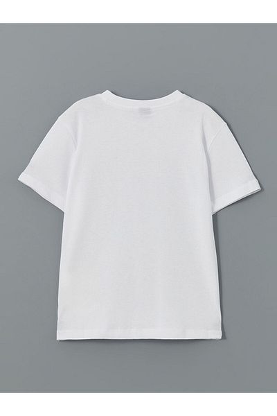 LC Waikiki Lcw Crew Neck Boy T-Shirt