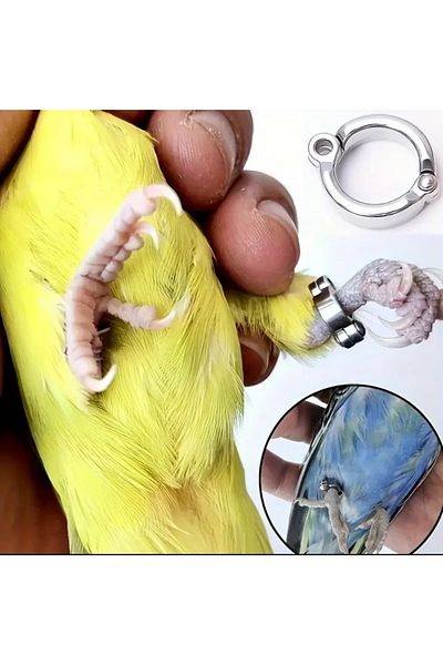Ankara Yem Evi Cockatiel Perches Parrot Rozella Parrot Outdoor Walking Apparatus