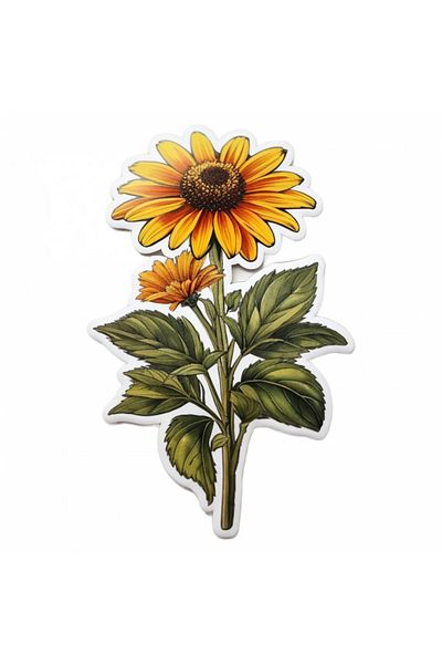 INOVATIX Set de 8 bucăți, autocolant cu flori Rudbeckia, INOVATIX®. 6 cm