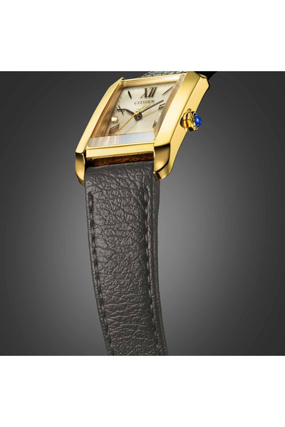 Citizen Eco-Drive EW5622-09P Kadın Kol Saati