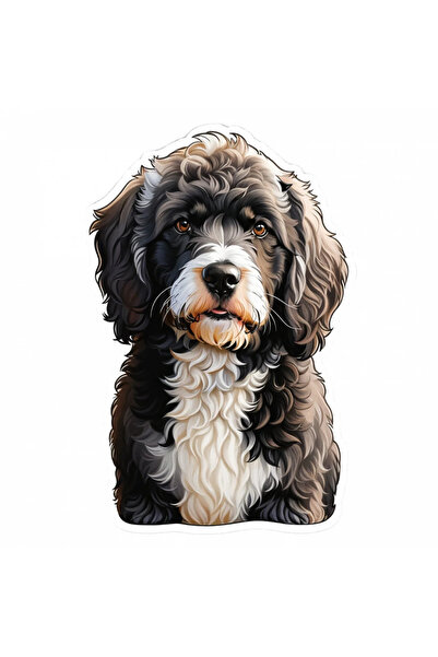 INOVATIX Σετ 8 τεμαχίων, αυτοκόλλητο πορτογαλικού σκύλου νερού, INOVATIX®. 6 εκ.