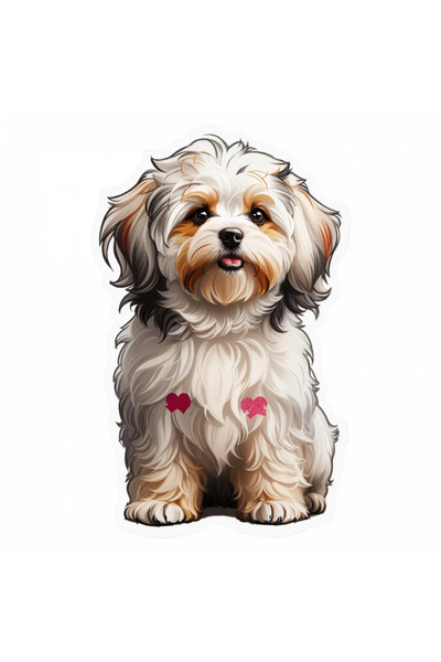 INOVATIX Set de 8 piese, autocolant cățeluș biban havanez creț, INOVATIX®. 6 cm