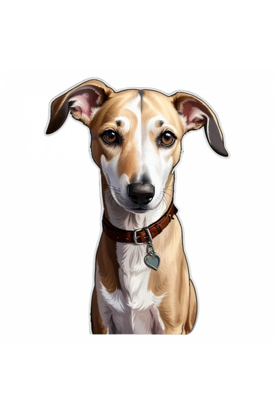 INOVATIX Set de 8 piese, autocolant câine Whippet cu zgardă și medalion, INOVATIX®. 6 cm