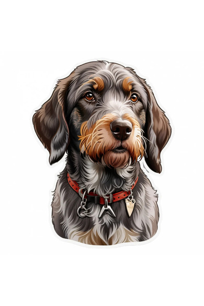 INOVATIX Set de 8 piese, autocolant german Brac cu treaptă de sârmă, INOVATIX...