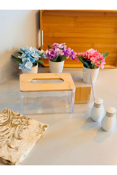 Makri Plastic Napkin Holder and Organizer with Bamboo Lid, 25 X 12 X 10 cm