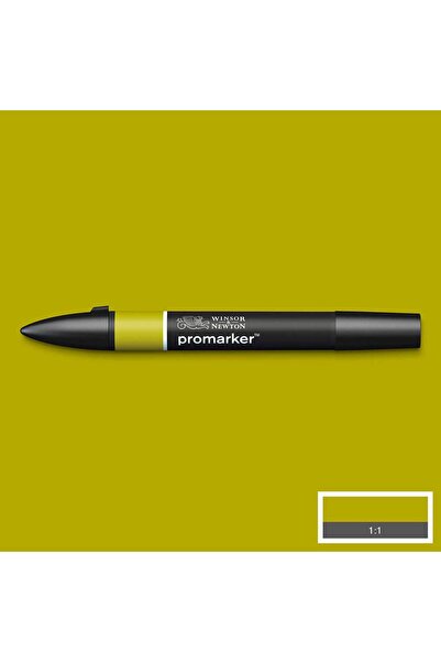 Winsor Newton Winsor & Newton Promarker Moss 361 (Y334)