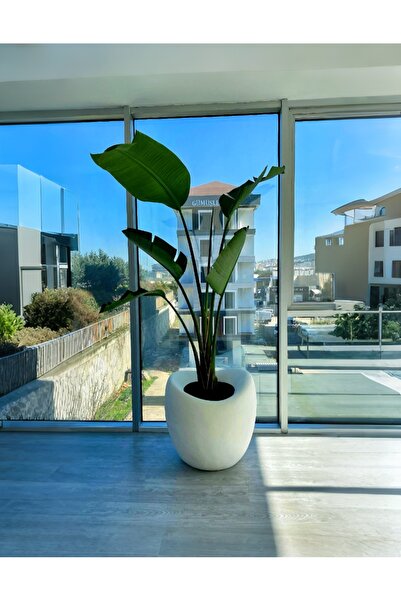 Lunalore Dekoratif Küre Fiber Beton Görünümlü Dokulu 70 CM Modern Saksı Tasarımı Yapay ve Canlı Bitki Uyumlu