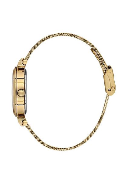 Daniel Klein Dk.1.13966-4 Women's Watch