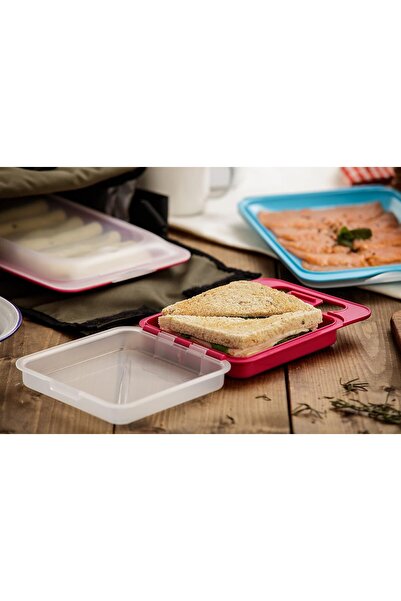 Tatay Porta Sandwich Lunch Box Assorted Color 1 Liter