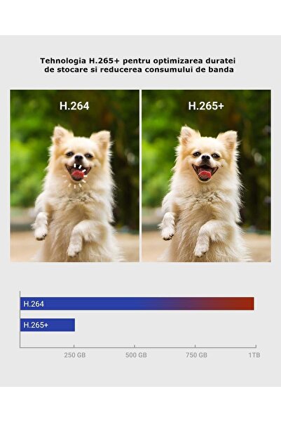 Spionescu Sistem complet de supraveghere cu 8 camere de exterior, E200, detectare facială AI, rezoluție FulHD