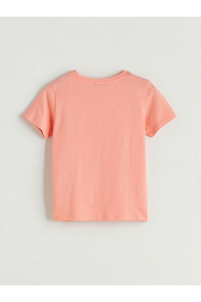 LC Waikiki Crew Neck Flamingo Embroidered Women's T-Shirt